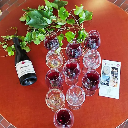 Le Studio Du Beaujolais