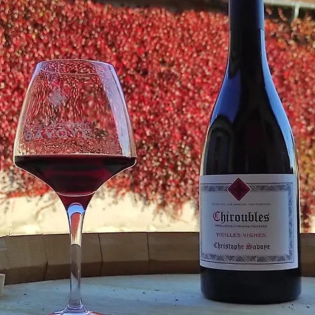 Le Studio Du Beaujolais 펜션 *