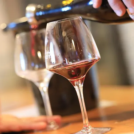 Semesterbostad Le Studio Du Beaujolais *
